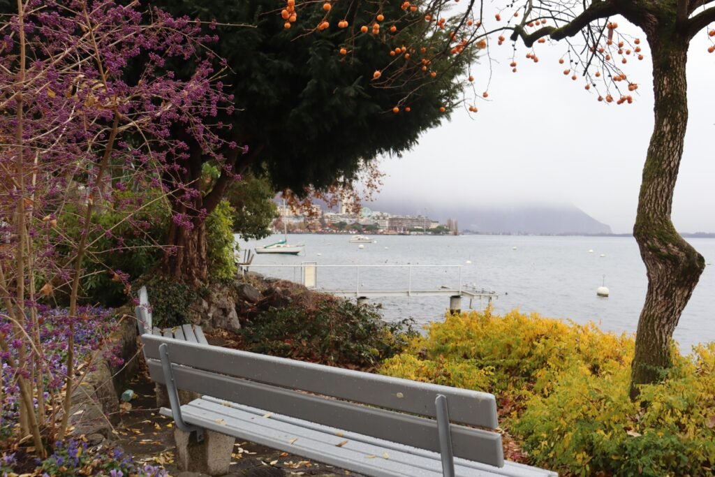 The flowers in Montreux are always stunning, even in Winter! | The Ultimate Solo Female Travel Guide: Everything I Wish I Knew