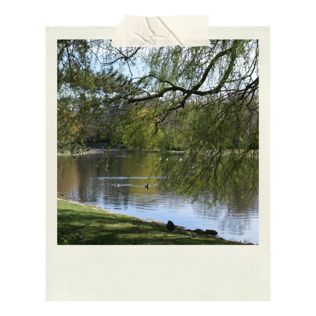 Enjoying the green space in Malmo, Sweden - a welcome escape away from the city!