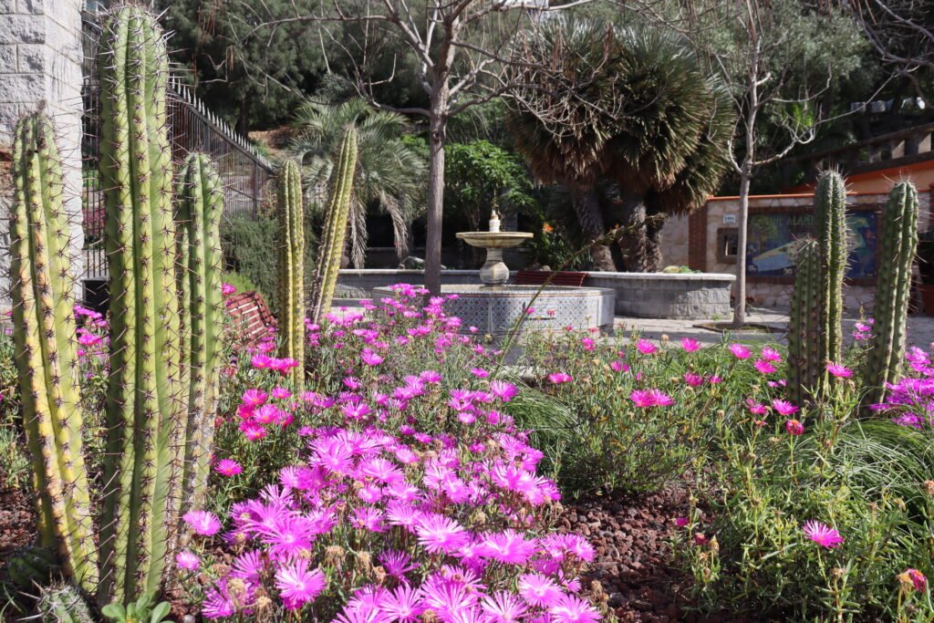 The beautiful and vibrant Alameda Botanic Gardens