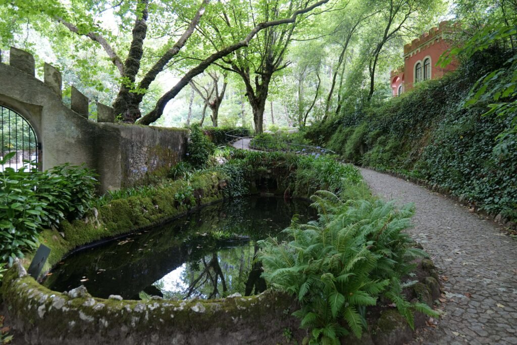 Walking through the incredible Pena Park was my highlight!