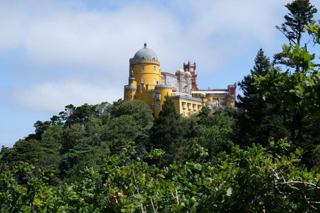 That fairy tale view of Pena Palace, from the gardens!