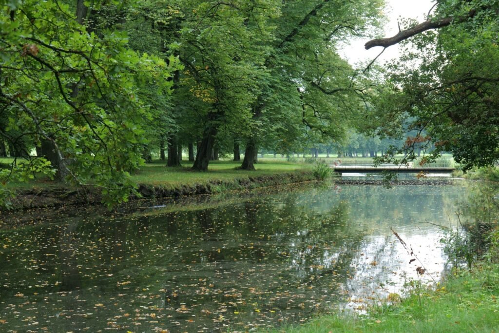 A quiet, leafy path by the water in Drottningholm's wider English-inspired estate!