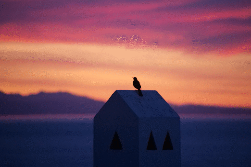 Enjoying my own company, watching the sunrise in Spain!