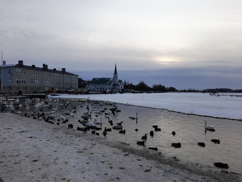 Reykjavik city centre feels very serene, calm and safe!