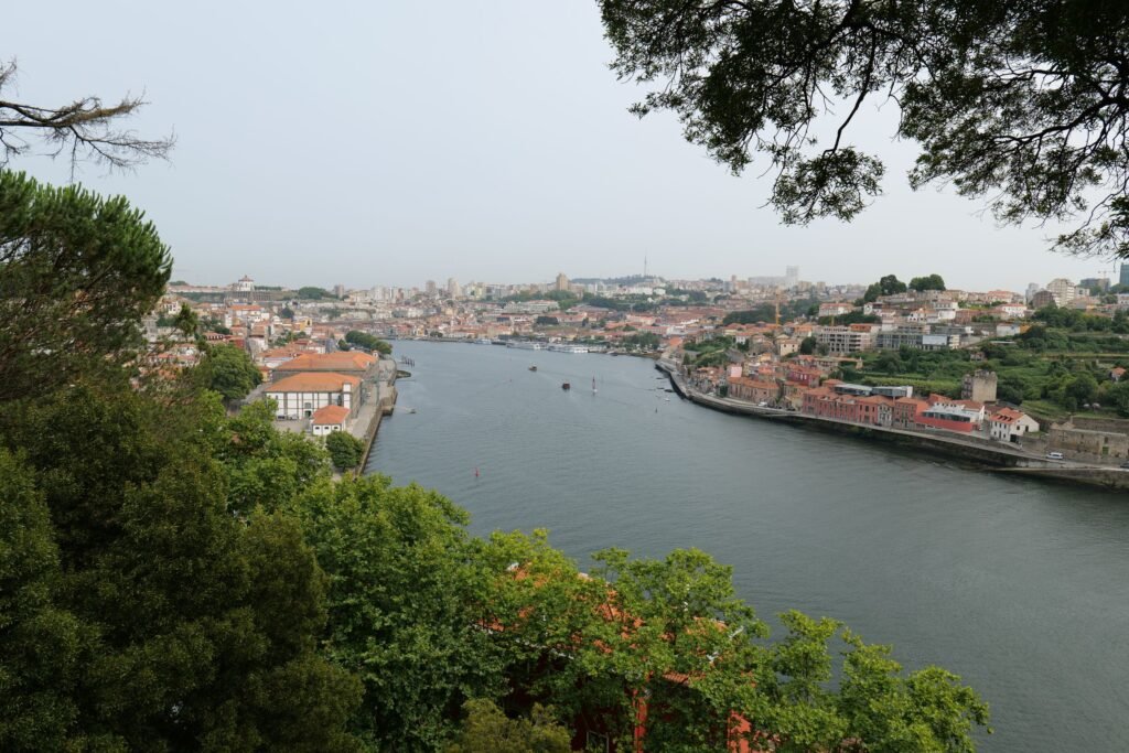 The view from Porto's Crystal Palace Gardens