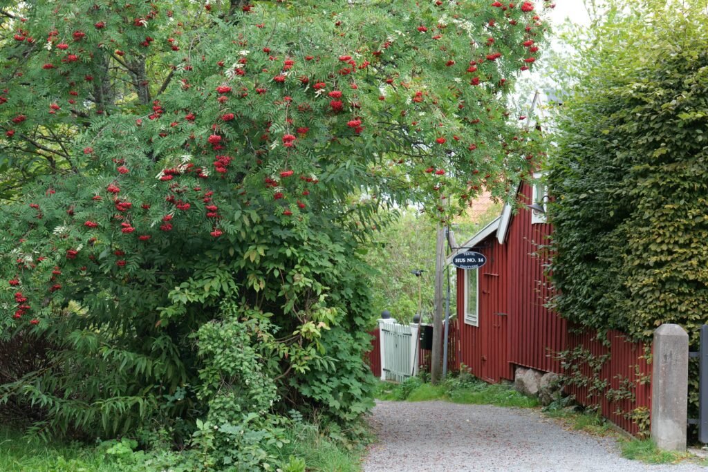 All throughout Vaxholm, you'll find quaint, colourful buildings to admire!