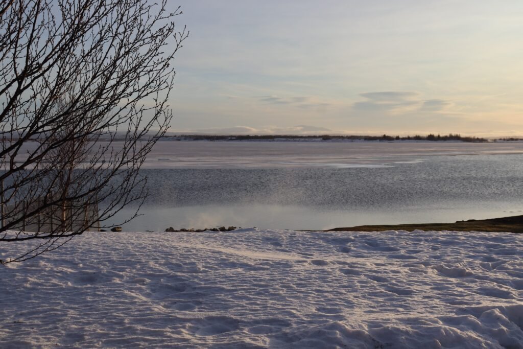 The Geyser geothermal area