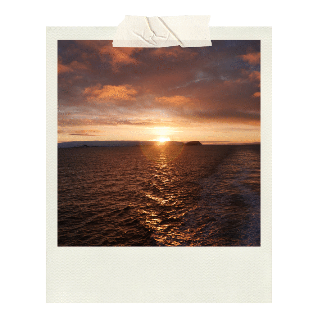 A dreamy Arctic sunset from Havila Polaris!