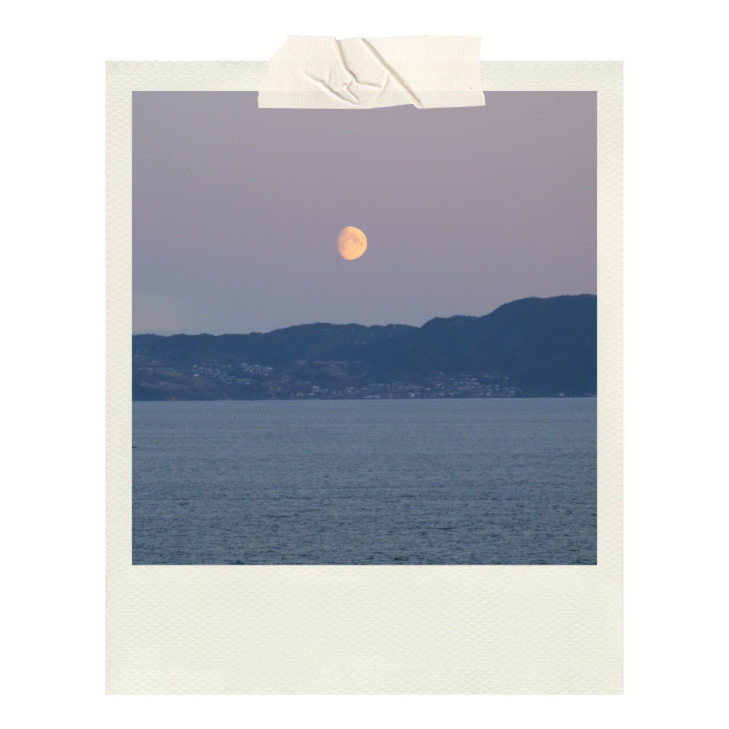 An early morning exploring Trondheim