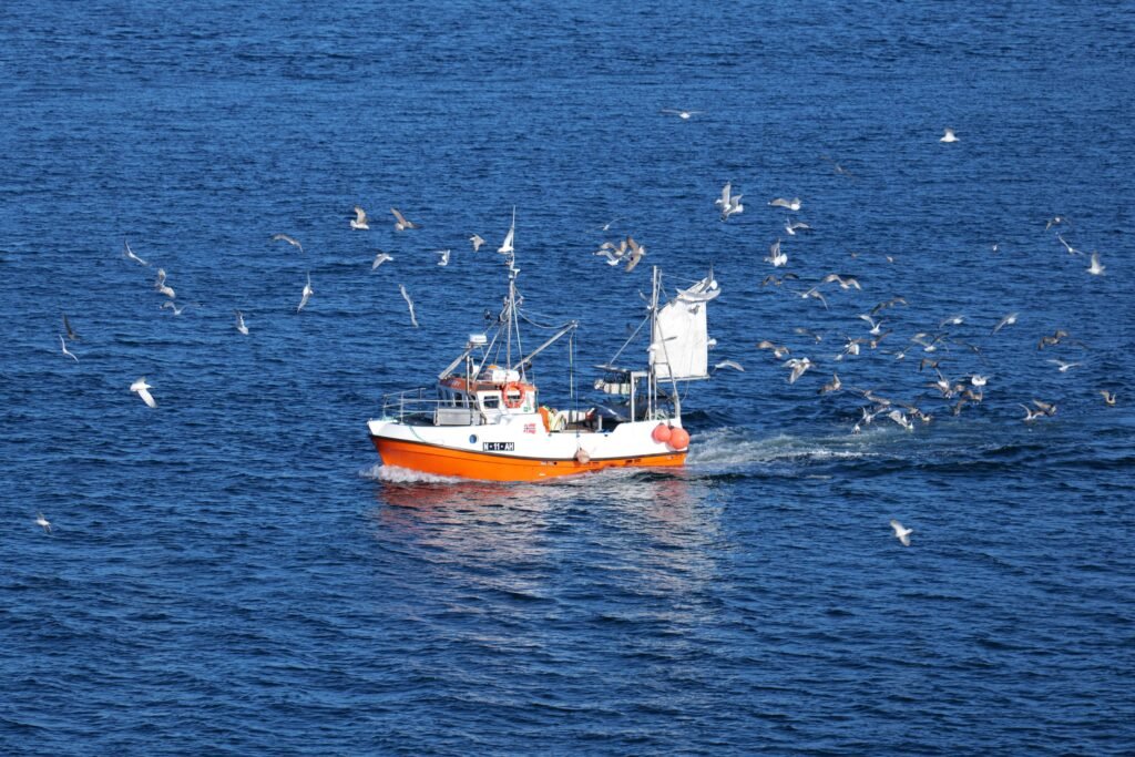 Passing a tiny fishing boat on the way back to Bergen!