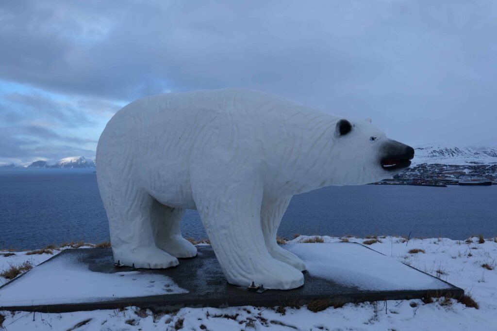 The Hammerfest polar bear!