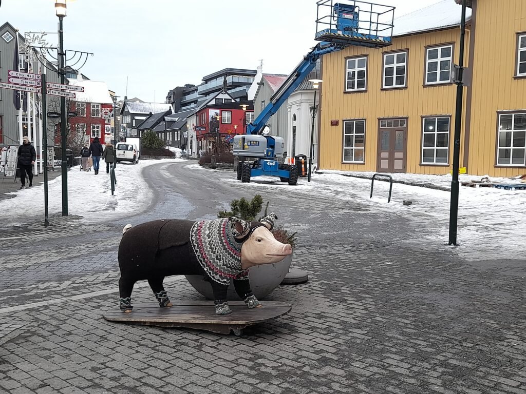 A statue of a pig in a woolly jumper next to my hotel in downtown Reykjavik - only in Iceland!!