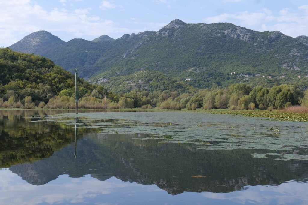 Stunning Lake Skadar National Park is an amazing detour!