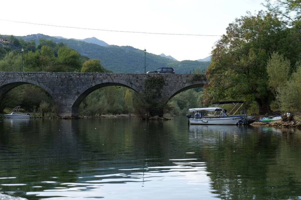 On a boat trip from Rijeka Crnojevića!