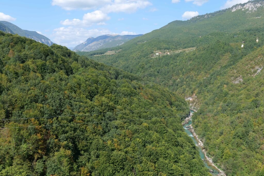 Visiting the Tara River valley on a day trip to Durmitor National Park from Kotor