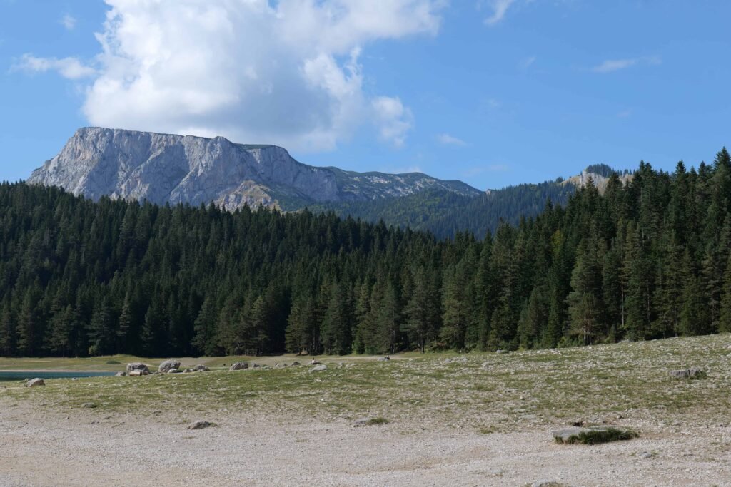 Exploring more of the walking paths around the Black Lake!