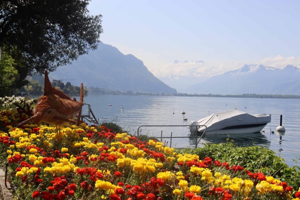 The banks of Lake Geneva, bursting with spring flowers!