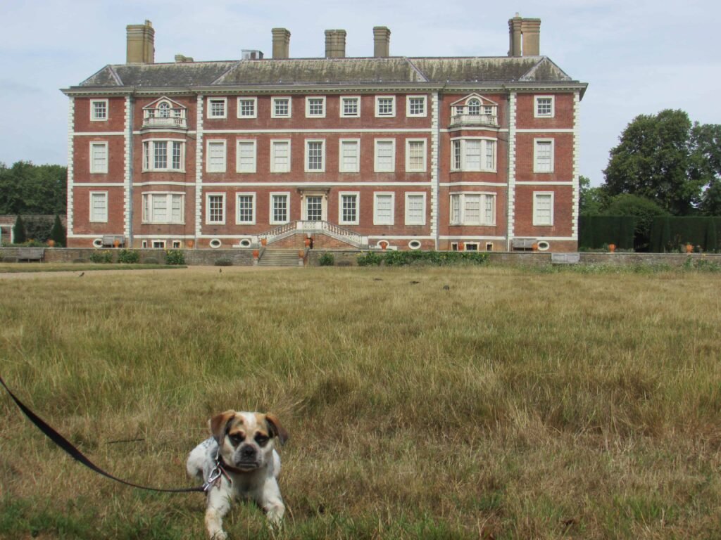 My dog, Cookie, at Ham House! Just behind is where Sophie and Benedict dance at the masquerade ball!