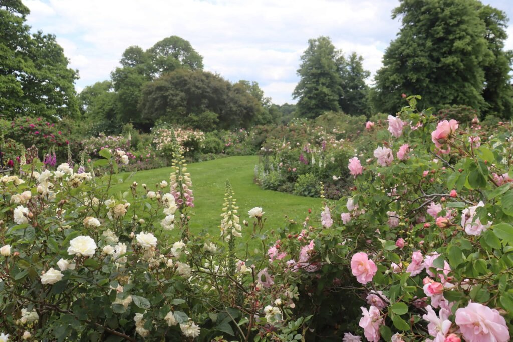 The beautiful Rose Garden was a key location in Bridgerton season 2!