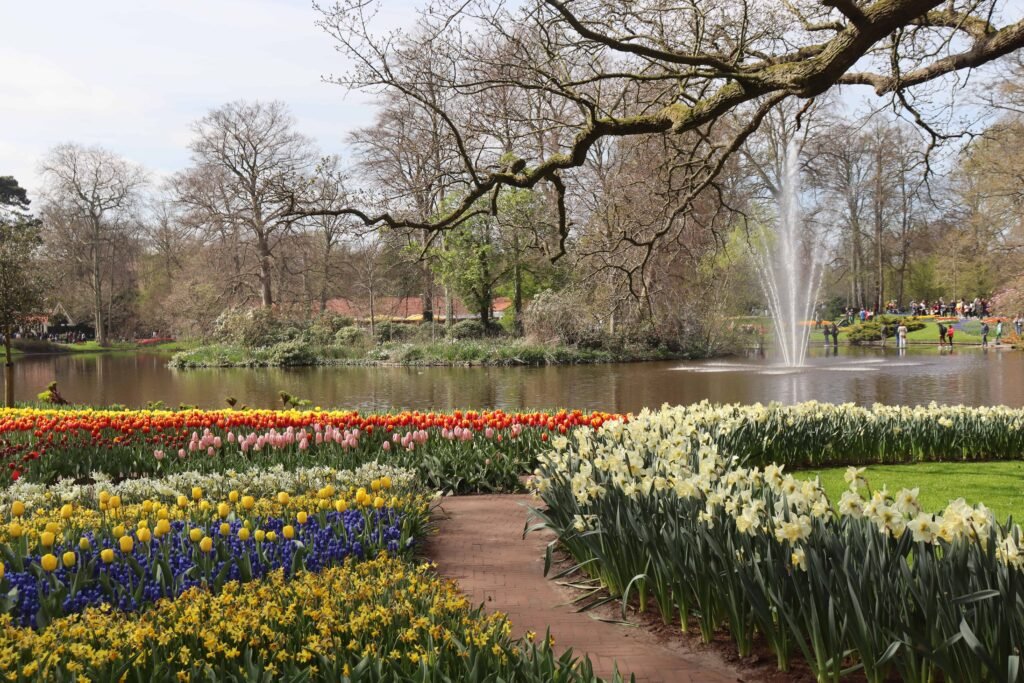 The most famous spring blooms at Keukenhof!