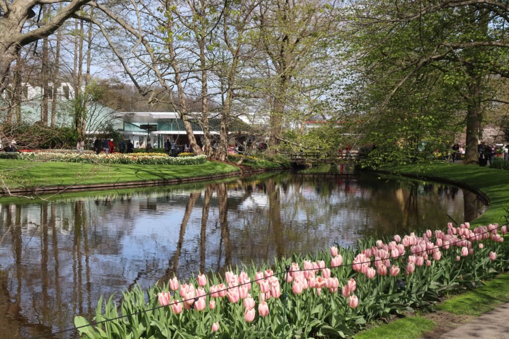 Tulips by the lake at Keukenhof Gardens