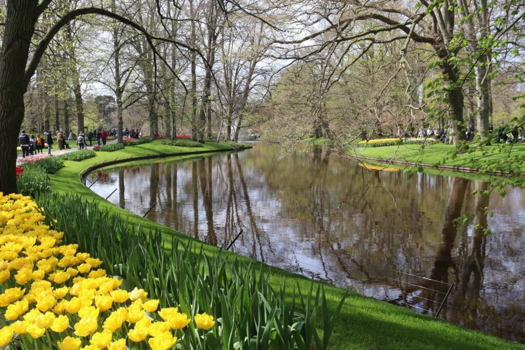 Visiting the Keukenhof tulips from Amsterdam!