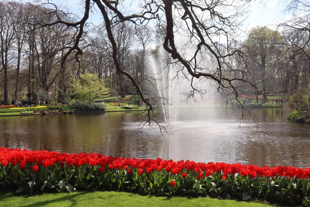 Tulips by the lake at Keukenhof Gardens