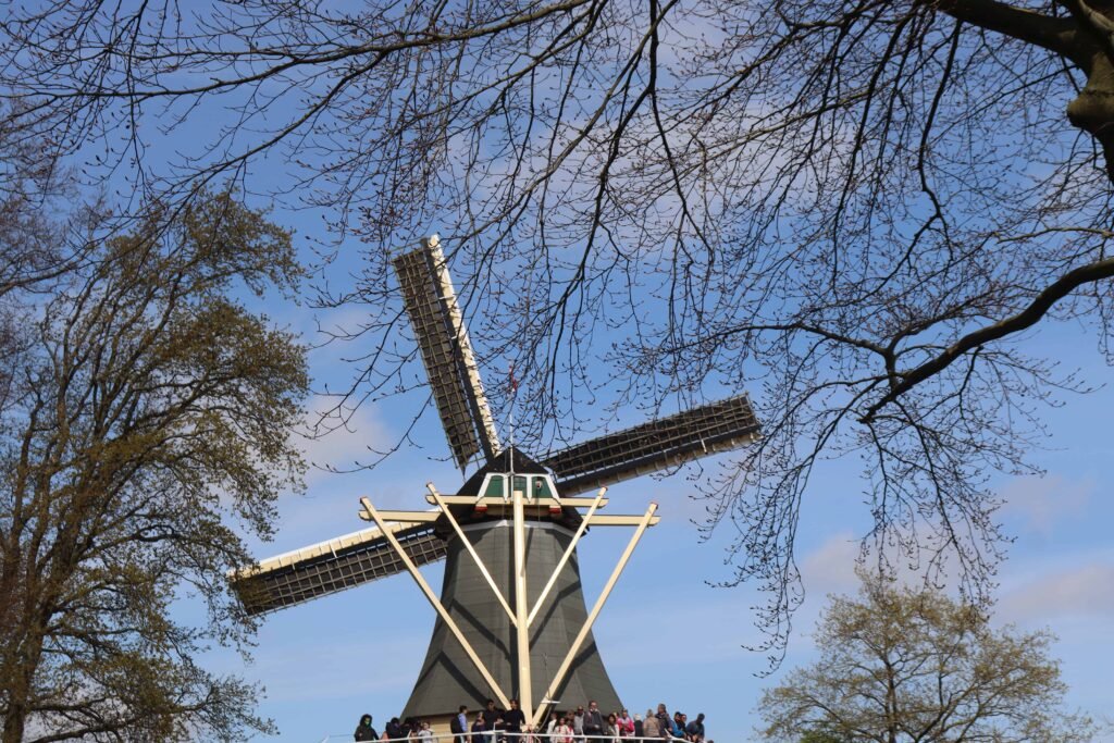 Keukenhof windmill