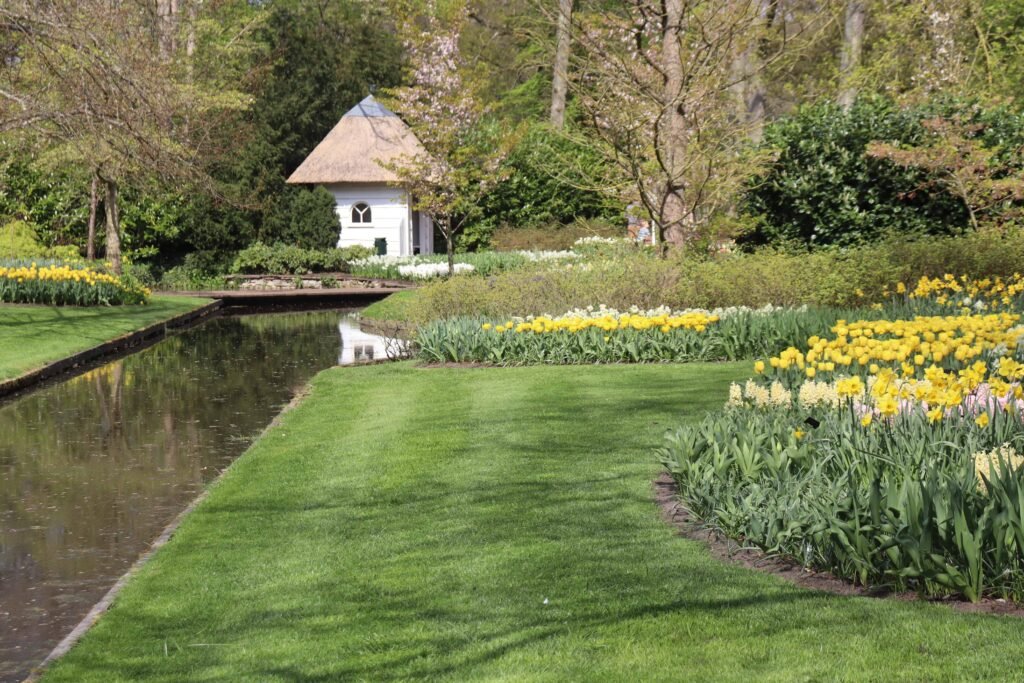 Spring bulbs at Keukenhof