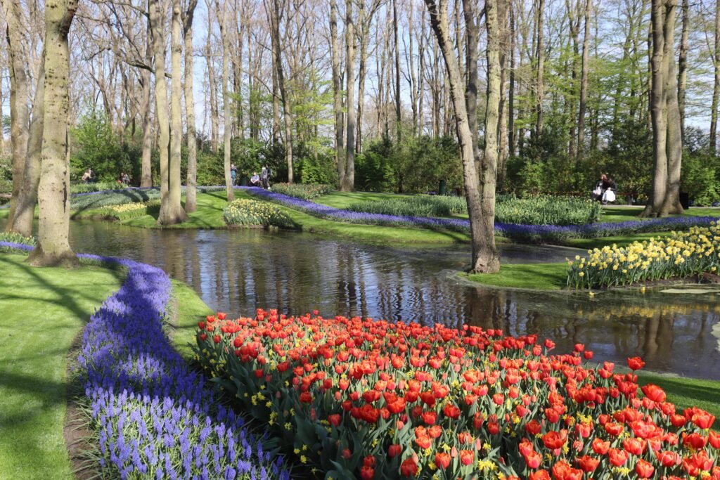 Tulips by the lake at Keukenhof Gardens