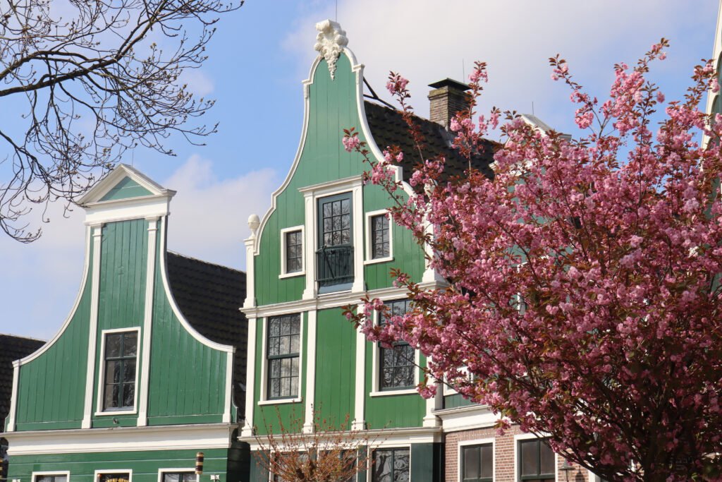 Zaanse Schans village in full spring bloom!