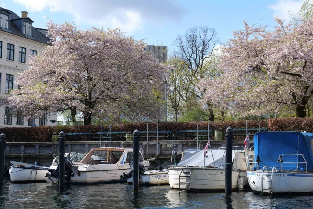 Seeing blossoms from the water on an open canal boat!