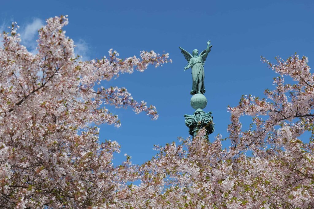 Spring blossoms in Copenhagen