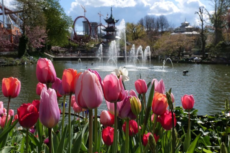 Ultimate Guide to Spring in Copenhagen (Things To Do + Tips)