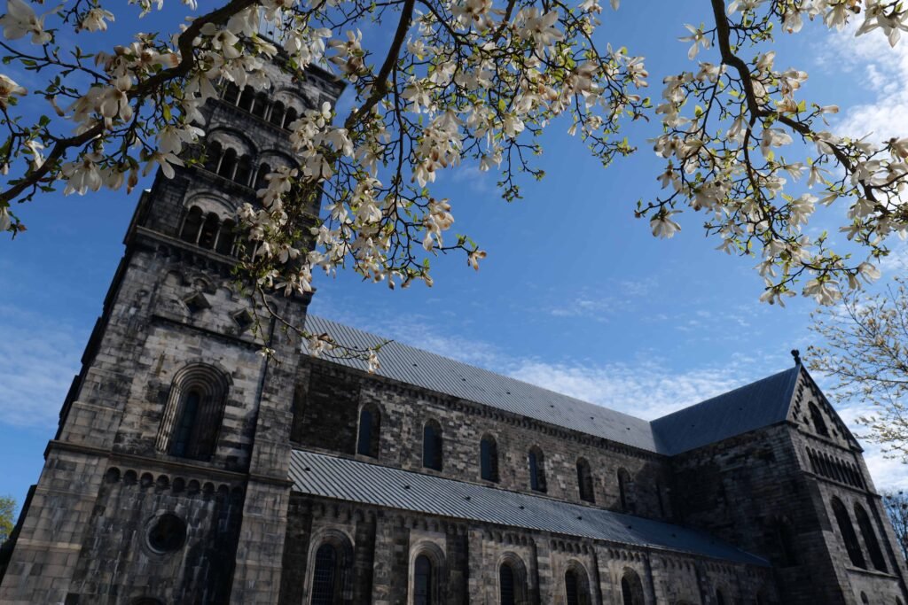 Blossoms surrounding Lund Cathedral