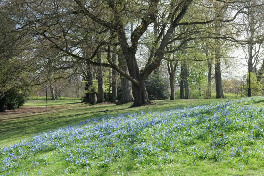 More spring blooms in Malmö