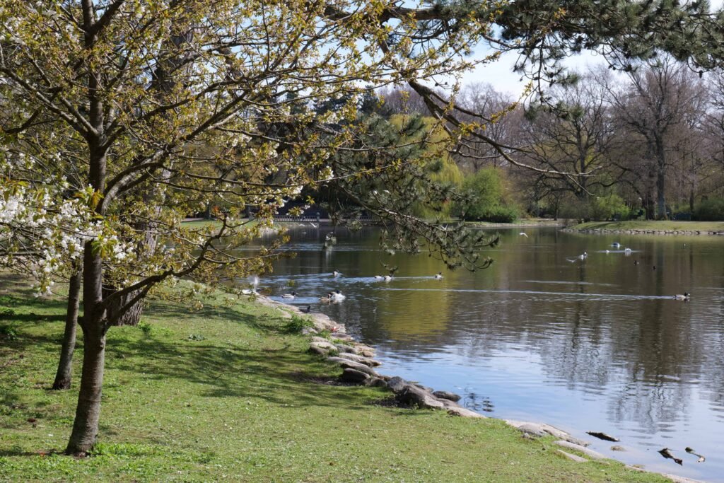 Stora Dammen Lake in Malmö