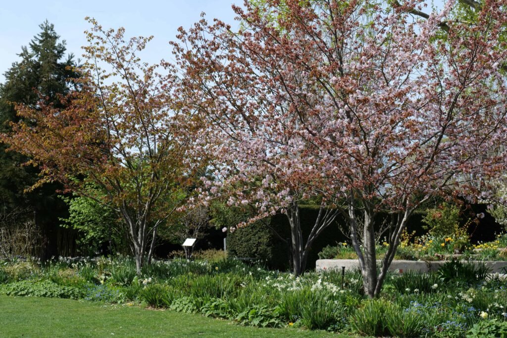 Slottsträdgården in Malmö is beautiful in Spring!