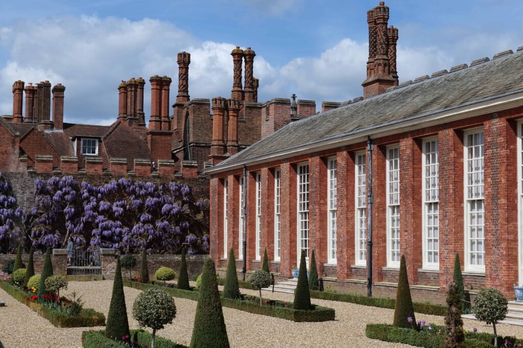Wisteria at Hampton Court Palace giving major Bridgerton vibes!