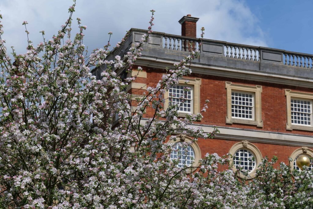 Spring at Hampton Court Palace is one of the best introductions to your Bridgerton-Inspired England Itinerary!