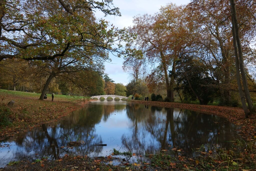 Painshill is stunning in the autumn!