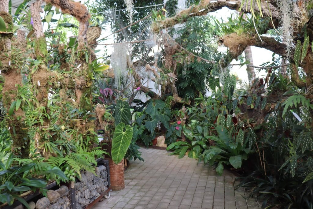 The Estepona Orchid House
