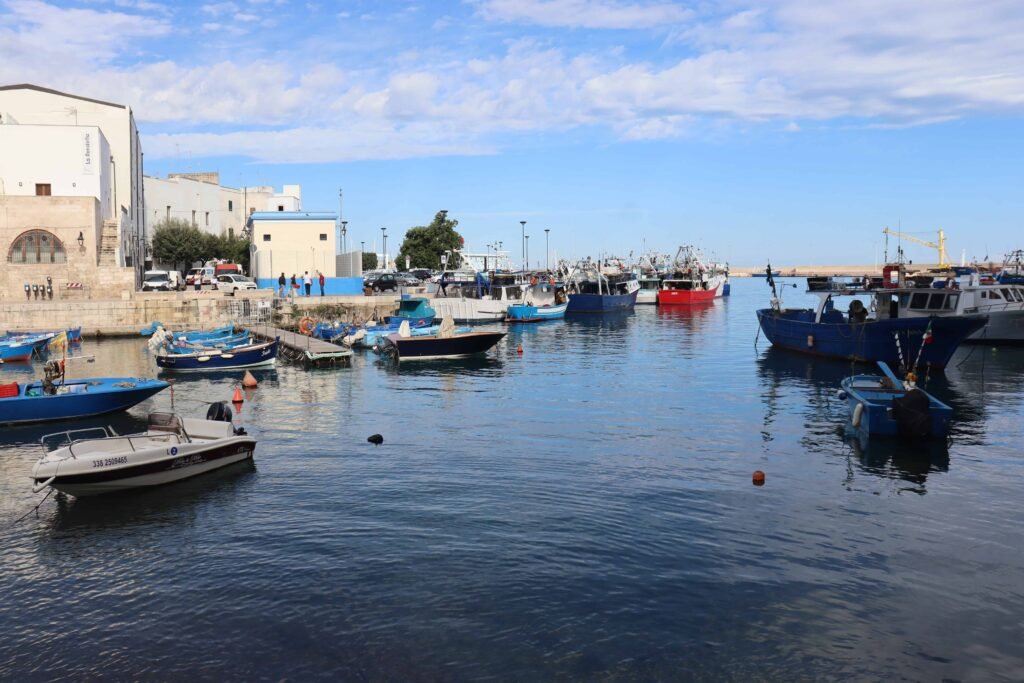 Looking out across the harbour in Monopoli!