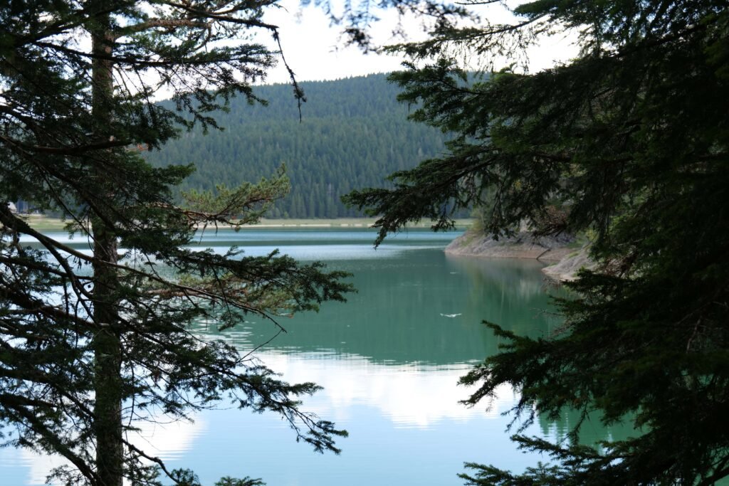 Some places out in nature, like at the Black Lake, are hard to get to without driving or a tour