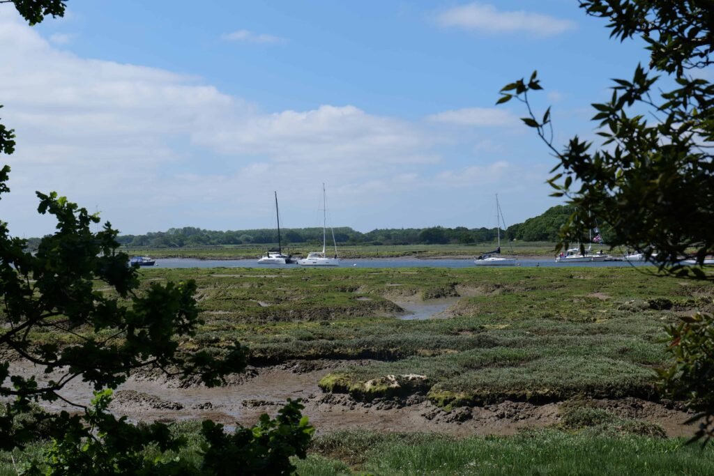Riverside views at Exbury Gardens
