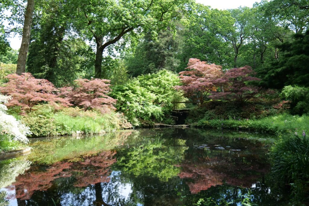 Peaceful lake walks at Exbury