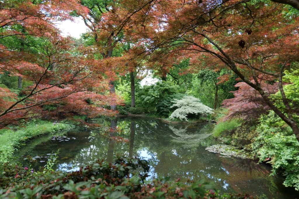 Stunning colours at Exbury in late spring!