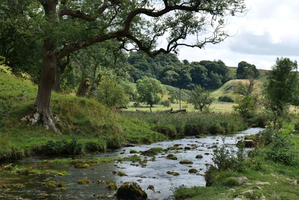 Walking in the Yorkshire Dales in summer!