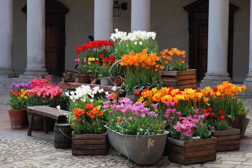 The tulips are spectacular in every part of the palace grounds!