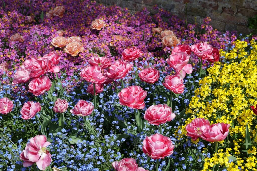 A closeup of the Tiltyard spring border